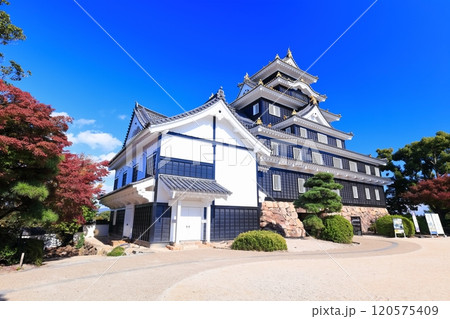 【岡山県】紅葉した岡山城の天守閣（令和の大改修後） 120575409