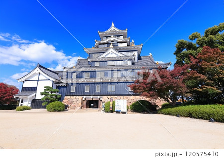 【岡山県】紅葉した岡山城の天守閣（令和の大改修後） 120575410