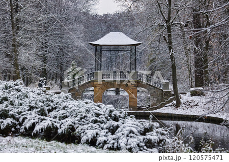 A picturesque winter scene of a snow-covered park with chinese bridge surrounded by frosted trees and bushes, reflecting the serene beauty of nature in cold weather. 120575471