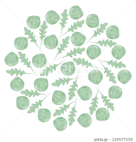 Brussels sprouts heads and Arugula leaves Circe Background Texture. Healthy Eating food fond concept Brussels sprouts heads and Arugula leaves Circe Background Texture. Healthy Eating food fond concept 120577250