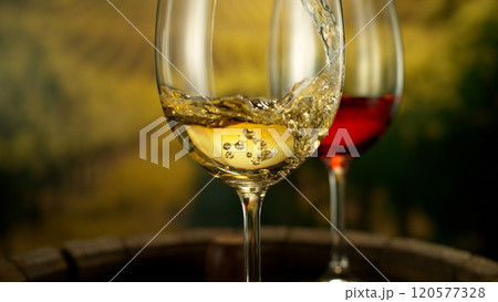 Close-up of white wine pouring into glass on vineyards , freeze motion Close-up of white wine pouring into glass on vineyards , freeze motion 120577328