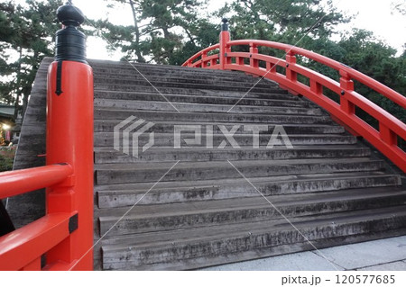 大阪 住吉神社(住吉大社) そり橋 大阪 住吉神社(住吉大社) そり橋 120577685