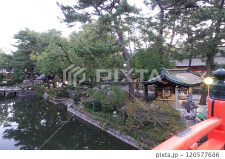 大阪 住吉神社(住吉大社) 120577686