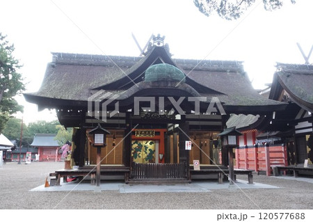 大阪 住吉神社(住吉大社) 大阪 住吉神社(住吉大社) 120577688