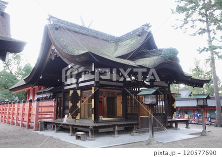 大阪 住吉神社(住吉大社) 120577690