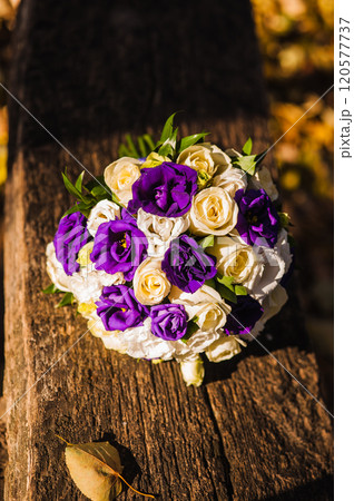 Beautiful wedding bouquet with purple flowers.a bouquet of roses and friezes 120577737