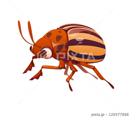 Cartoon funny Colorado potato beetle insect character with oversized googly eyes, striped shell and vibrant antennae. Isolated vector Leptinotarsa decemlineata, playful garden pest or bug personage 120577898