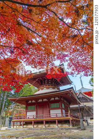高野山 壇上伽藍 紅葉に包まれた東塔 高野山 壇上伽藍 紅葉に包まれた東塔 120577933