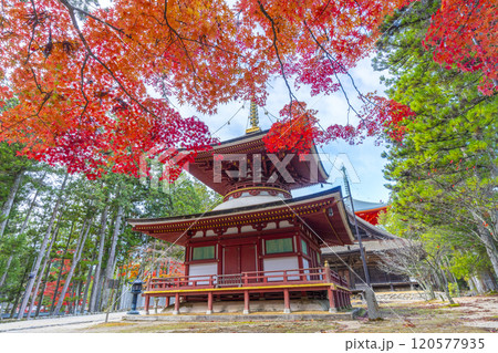 高野山　壇上伽藍　紅葉に包まれた東塔 120577935