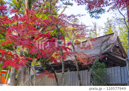 高野山 壇上伽藍 紅葉に包まれた大会堂 高野山 壇上伽藍 紅葉に包まれた大会堂 120577949