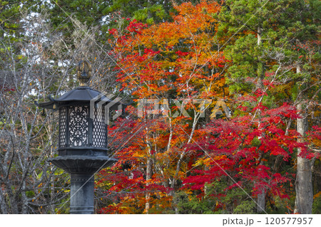 高野山　紅葉に包まれた壇上伽藍　青銅製の灯籠 120577957