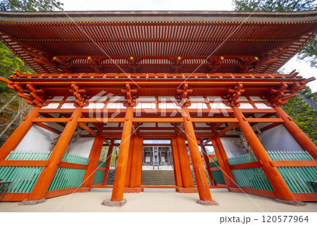 高野山　壇上伽藍　紅葉に包まれた中門 120577964
