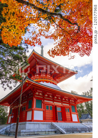 高野山　壇上伽藍　紅葉に包まれた根本大塔 120577968