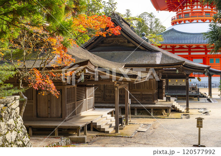 高野山 壇上伽藍 紅葉に包まれた根本大塔 高野山 壇上伽藍 紅葉に包まれた根本大塔 120577992