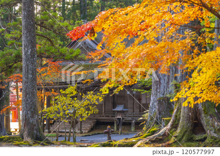 高野山 壇上伽藍 紅葉に包まれた山王院 高野山 壇上伽藍 紅葉に包まれた山王院 120577997
