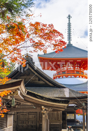 高野山　壇上伽藍　紅葉に包まれた根本大塔 120578000