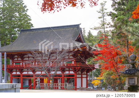 高野山　壇上伽藍　紅葉に包まれた中門 120578005