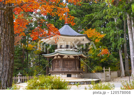 高野山　壇上伽藍　紅葉に包まれた六角経蔵 120578008