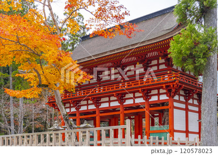 高野山　壇上伽藍　紅葉に包まれた中門 120578023