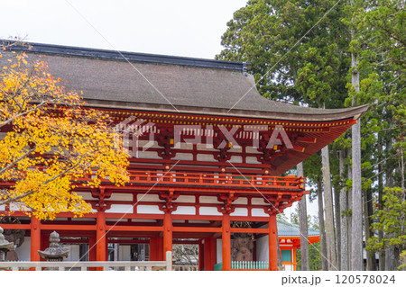 高野山　壇上伽藍　紅葉に包まれた中門 120578024