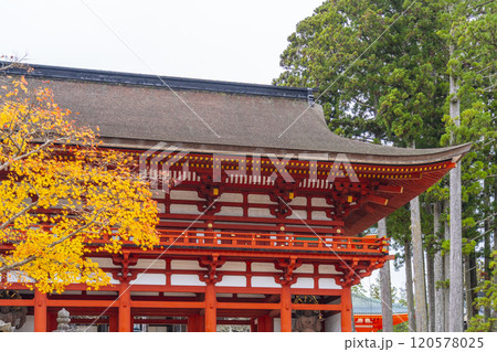 高野山　壇上伽藍　紅葉に包まれた中門 120578025
