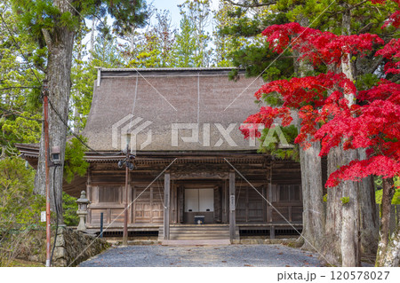 高野山　壇上伽藍　紅葉に包まれた大会堂 120578027