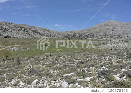 Nisimos plateau is located southwest of Heraklion and at almost 900 m height at the foothills of Selena mountain, Crete 120578148