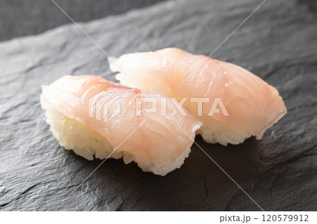 美味しいホウボウの握り鮨 120579912