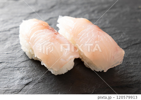 美味しいホウボウの握り鮨 120579913