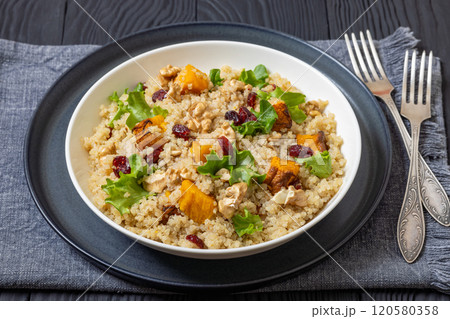 quinoa pumpkin salad in a bowl, top view quinoa pumpkin salad in a bowl, top view 120580358