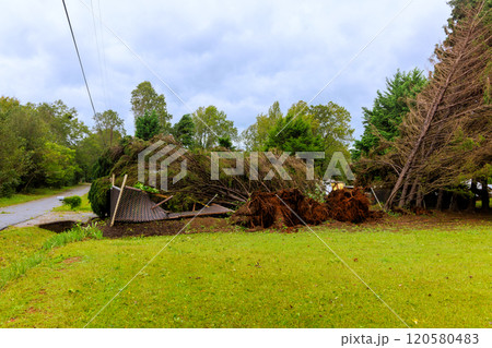 Severe storm has uprooted several tall trees, leaving them fallen on ground structure has sustained notable hurricane damage 120580483