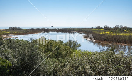 Pond near the Mediterranean cost, at Guadalhorce nature reserve near Malaga, Andalusia, Spain. 120580519