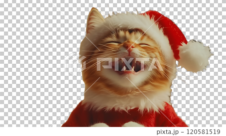 Playful Cat in Santa Costume Laughing Amid Festive Christmas Lights_2_Transparent 120581519