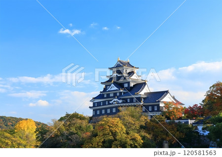【岡山県】黄葉した岡山城(令和の大改修後) 【岡山県】黄葉した岡山城(令和の大改修後) 120581563