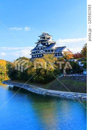 【岡山県】黄葉した岡山城と旭川（令和の大改修後） 120581565