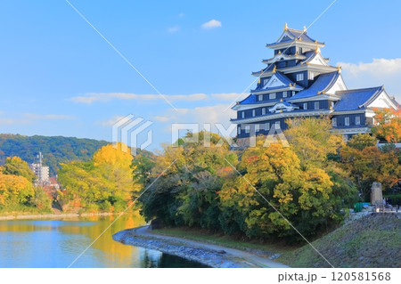 【岡山県】黄葉した岡山城と旭川(令和の大改修後) 【岡山県】黄葉した岡山城と旭川(令和の大改修後) 120581568