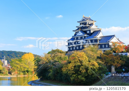 【岡山県】黄葉した岡山城と旭川(令和の大改修後) 【岡山県】黄葉した岡山城と旭川(令和の大改修後) 120581570