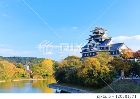 【岡山県】黄葉した岡山城と旭川（令和の大改修後） 120581571