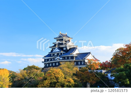 【岡山県】黄葉した岡山城(令和の大改修後) 【岡山県】黄葉した岡山城(令和の大改修後) 120581573