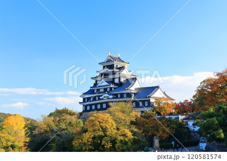 【岡山県】黄葉した岡山城(令和の大改修後) 【岡山県】黄葉した岡山城(令和の大改修後) 120581574