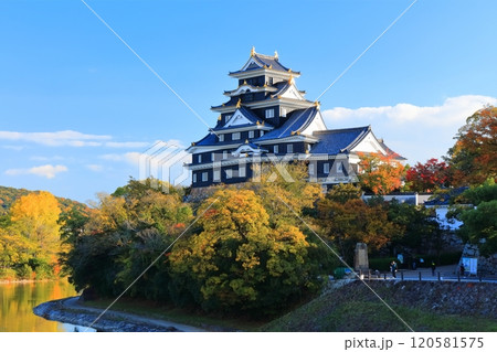 【岡山県】黄葉した岡山城と旭川（令和の大改修後） 120581575