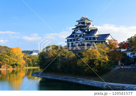 【岡山県】黄葉した岡山城と旭川(令和の大改修後) 【岡山県】黄葉した岡山城と旭川(令和の大改修後) 120581577