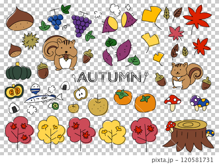 秋のものを集めた手描きイラストセットのイラスト素材 [120581731] - PIXTA