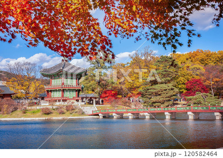 Gyeongbokgung Palace in autumn with maple leaves in the foreground, South Korea. Gyeongbokgung Palace in autumn with maple leaves in the foreground, South Korea. 120582464