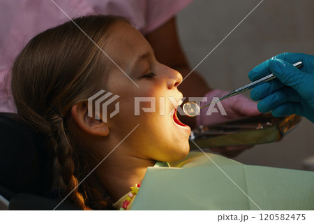 Child Receiving Dental Checkup by Dentist 120582475
