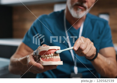 Demonstrating Proper Technique for Brushing Teeth Model Demonstrating Proper Technique for Brushing Teeth Model 120582539