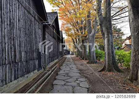 早朝の山居倉庫と紅葉の時期を迎えた欅並木 早朝の山居倉庫と紅葉の時期を迎えた欅並木 120582699