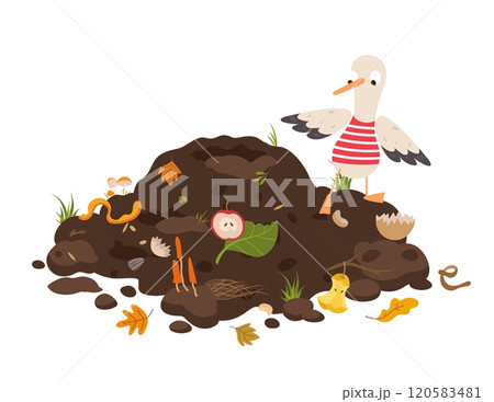 Funny seagull is poking around in compost heap. Sea bird finding food, ocean ecology problems. Cartoon organic trash in soil, leaves and fruits, vector scene 120583481