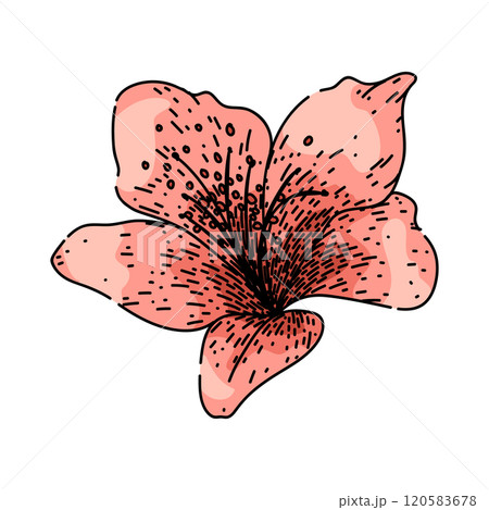 garden azalea sketch hand drawn vector 120583678
