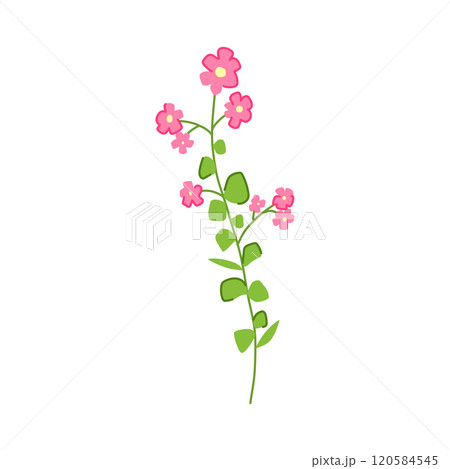 bouquet flower branch cartoon vector illustration 120584545